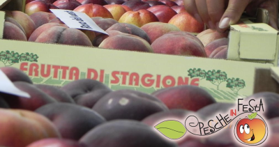 12° Pesche in Festa